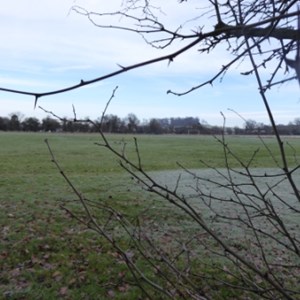 Bearley Village hall Gallery