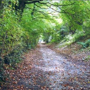 The Cockshutt, Wrockwardine Wood and Trench Parish Council