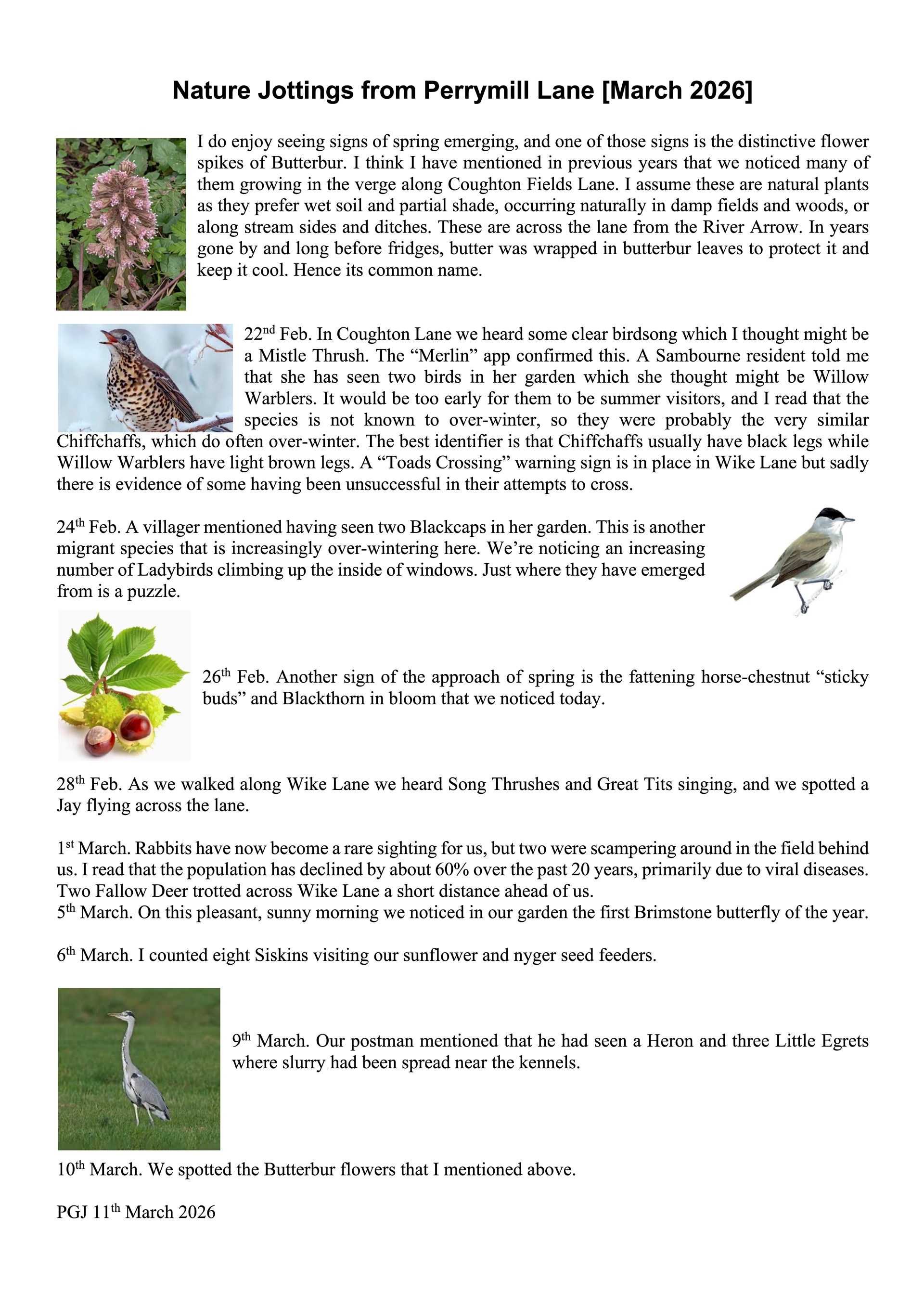Sambourne Parish Council Wildlife sightings in Sambourne Parish