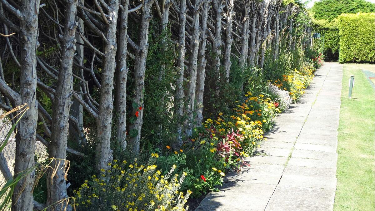 Original Paved Sidewalk