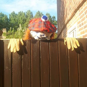 Bleasby Community Website Scarecrows, Pallets & Cones 2020
