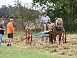 The Allington Hillbillies Horse drawn hay raking, the meadow.
