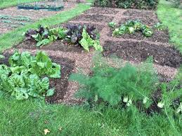 Hanslope Allotments