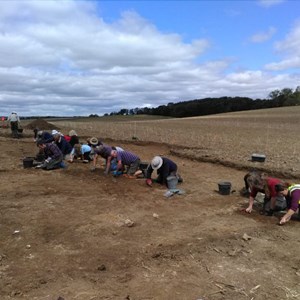 Volunteers start clearing the loose from trench 4 – the smaller of the two buildings – all of which has been opened up by the digger.