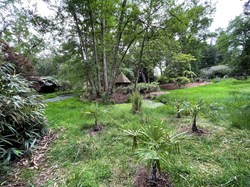 Bucklebury History Group The Dell - Carbinswood Lane