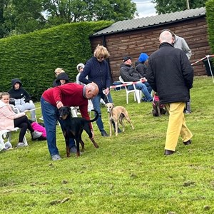 Whixall Social Centre Whixall Companion Dog Show 2024