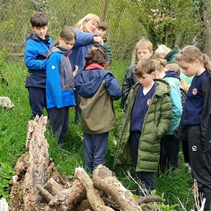 Sustainable Bourne Valley Hirst Meadow
