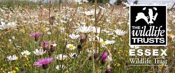 Wrabness Parish Council Nature Reserve