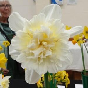 Mannings Heath & District Horticultural Society Photo Gallery