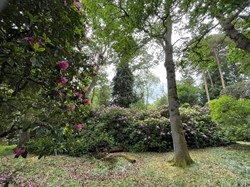 Bucklebury History Group The Dell - Carbinswood Lane