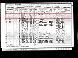 Census 1901