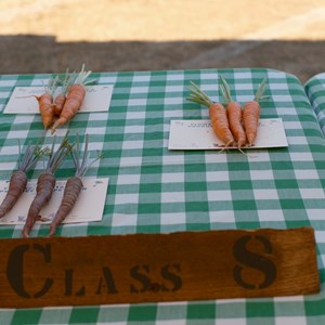 HBT Horticultural Society Photographs 2026