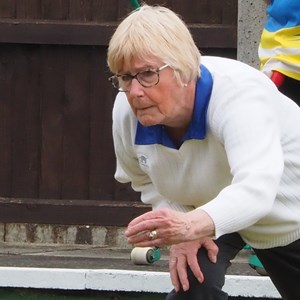Aldiss Park Bowls Club County Ladies 4s Qtr/Sems