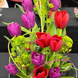 Mannings Heath & District Horticultural Society Photo Gallery