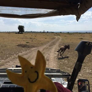 BOSP Brighter Opportunities through Supported Play BOSP's Travelling Star