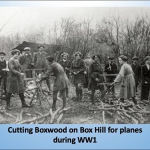 Mickleham & Westhumble Local History Group Not Such Everyday Lives
