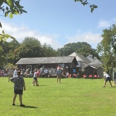 Dalwood Parish Council Village Green