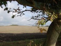 __________________________________________________ Hart Valley