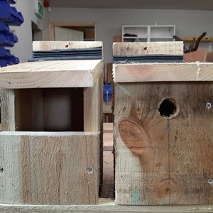 WCS034 - Bird Boxes