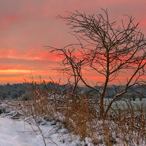 About Us, Crookham Village Neighbourhood Plan