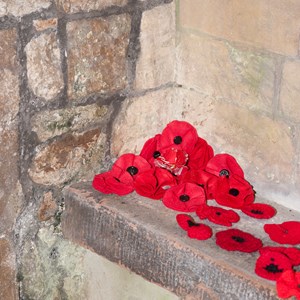 The Plough  Remembrance Day 11 November 2018