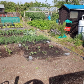 Laceby Parish Council Allotments