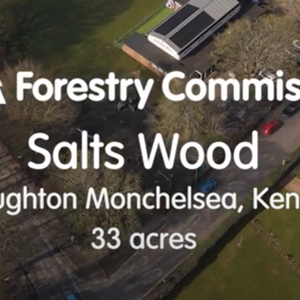 Boughton Monchelsea Parish Council Salts Wood