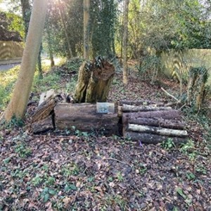 Bug Hotel