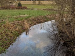 The River Swift, January 2021.  Credit: Kate Walbyoff