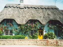 Bramdean & Hinton Ampner Parish Council Home