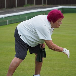 Aldiss Park Bowls Club Ladies 1/4 Final 4s