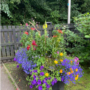 Laceby Parish Council Laceby in Bloom
