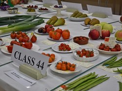 Bucklebury and Marlston Horticultural Society Autumn Show 2024