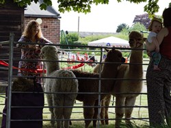 2025 VE 80th Celebrations