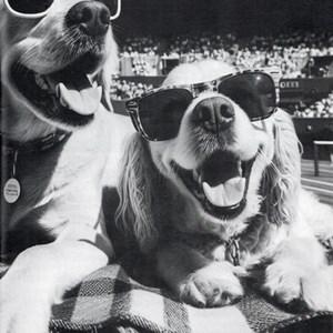 Berwick St James Parish 2025 - Archived