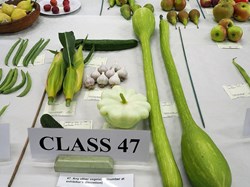 Bucklebury and Marlston Horticultural Society Autumn Show 2025