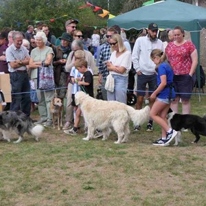 Goodworth Clatford Parish Council  Fete 2026 photos