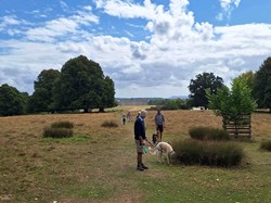 Probus Shelley Walks 2025