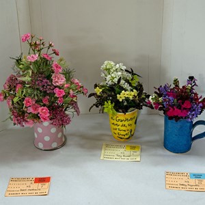 Bucklebury and Marlston Horticultural Society Summer Show Report 2024