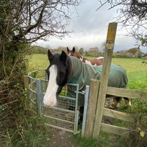 Sambourne Parish Council Footpath, Improved Access