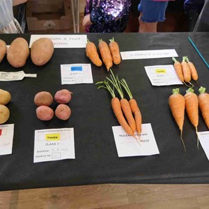 Goodworth Clatford Parish Council  Fete 2026 photos
