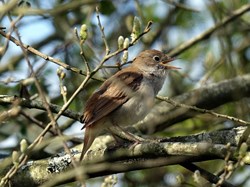 Save The Hoo Peninsula Home