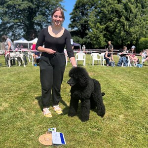 Whixall Social Centre Whixall Dog Show 2023 Report and Phots