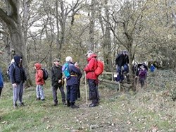 Lots of stiles, and our debut leader waited for everybody in the large group to cross each time before continuing on the walk. ©EH