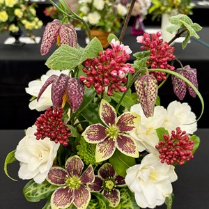 Mannings Heath & District Horticultural Society Photo Gallery