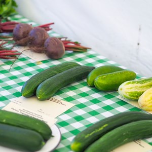 HBT Horticultural Society Photographs 2025