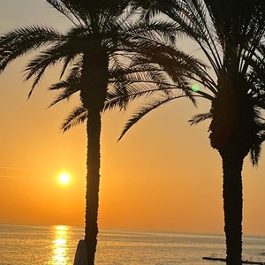 Nailsea Bowls Club Cyprus Tour November 2025