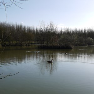 Kingsfield Pond