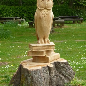 Owl carving from old tree