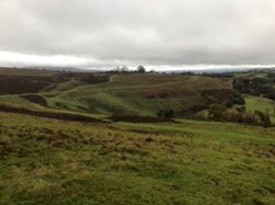 New House Bank Year 3